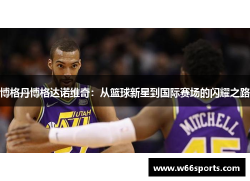 博格丹博格达诺维奇：从篮球新星到国际赛场的闪耀之路